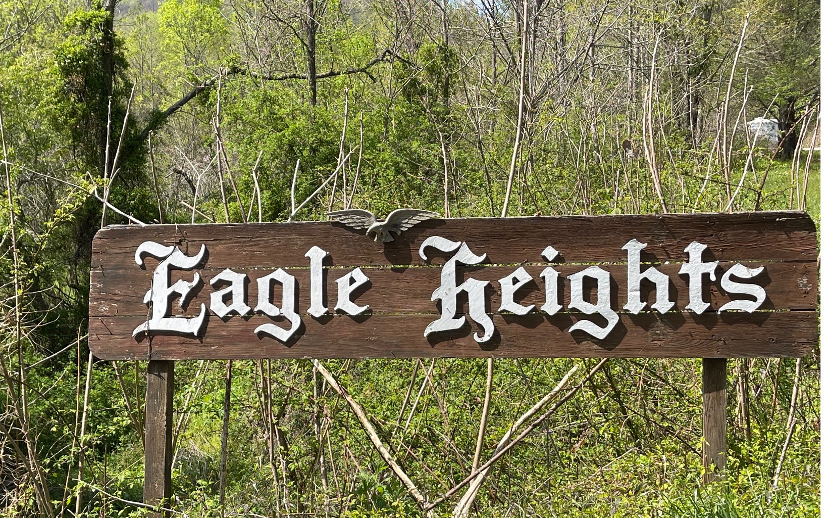 L 8D  EAGLE HEIGHTS