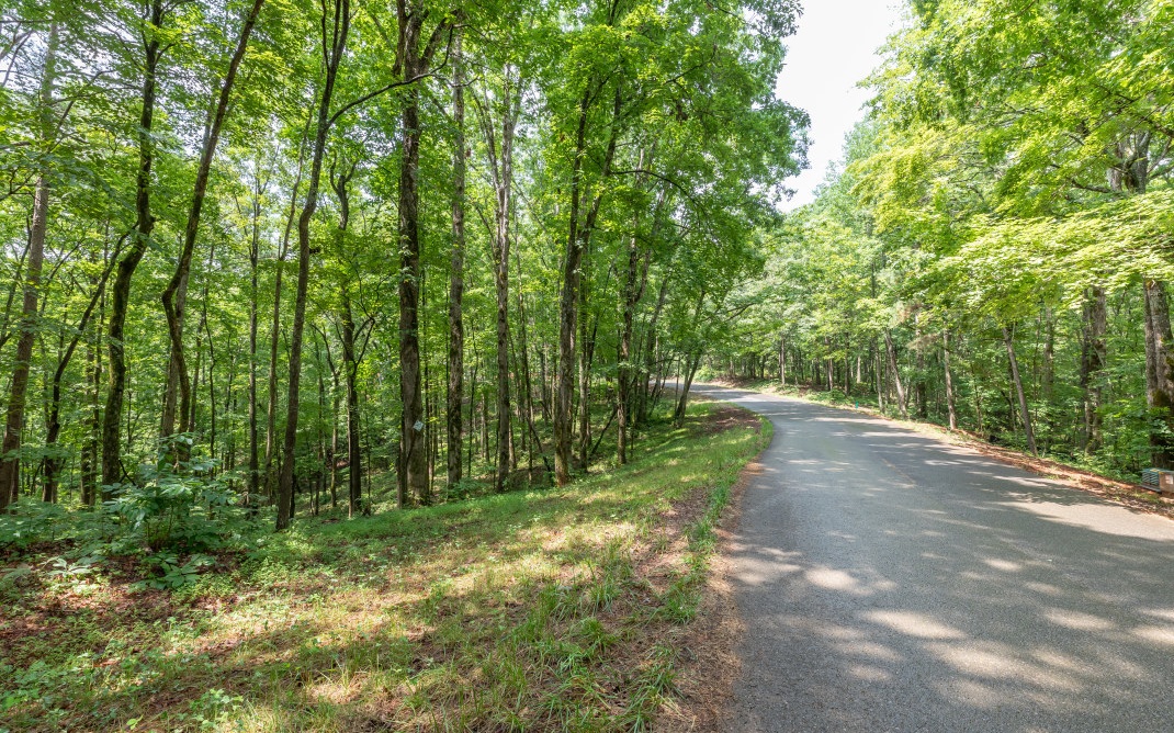Wander down a spell along the curves of Hap Holt Road which wind like one of the nearby creeks and you’ll find a little slice of nature on Lot 19, 1.69 acres of wooded land that’s waiting to host your custom-built cabin. Located in the growing community of Jake’s Landing where you’ll find underground utilities (electricity, water, phone, and fiber optic internet), ideal because they don’t obstruct the views or pose a challenge during construction. This quiet community also offers amenities such as a pool, playground, Carters Lake access and more. And did we mention the variety of big, trophy fish found in Carters Lake? How do Stripers, Hybrids, Spotted Bass, and Walleye sound? Stick close to home or venture out further and explore the local wineries, apple orchards, and many festivals. Either way, you’ll find the best of ALL worlds in Jake’s Landing!