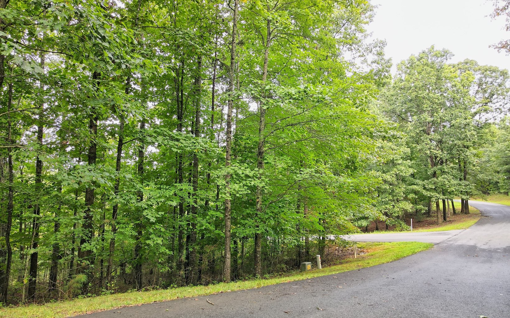 Be Still and Know that You're in the Mountains! Here is a Great Wooded Lot Waiting for you to Build Your Retirement or Family Home Between Blairsville and Blue Ridge. Beautiful Community of New Homes with Some Restrictions to Protect Your Investment. Public Boat Ramp on Lake Nottley and the Union County Horse Arena are Just Minutes Away.