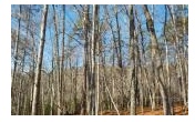 Great building lot nestled among community of nice cabin style homes. Owner will consider financing with good down payment. Water available at start of subdivision