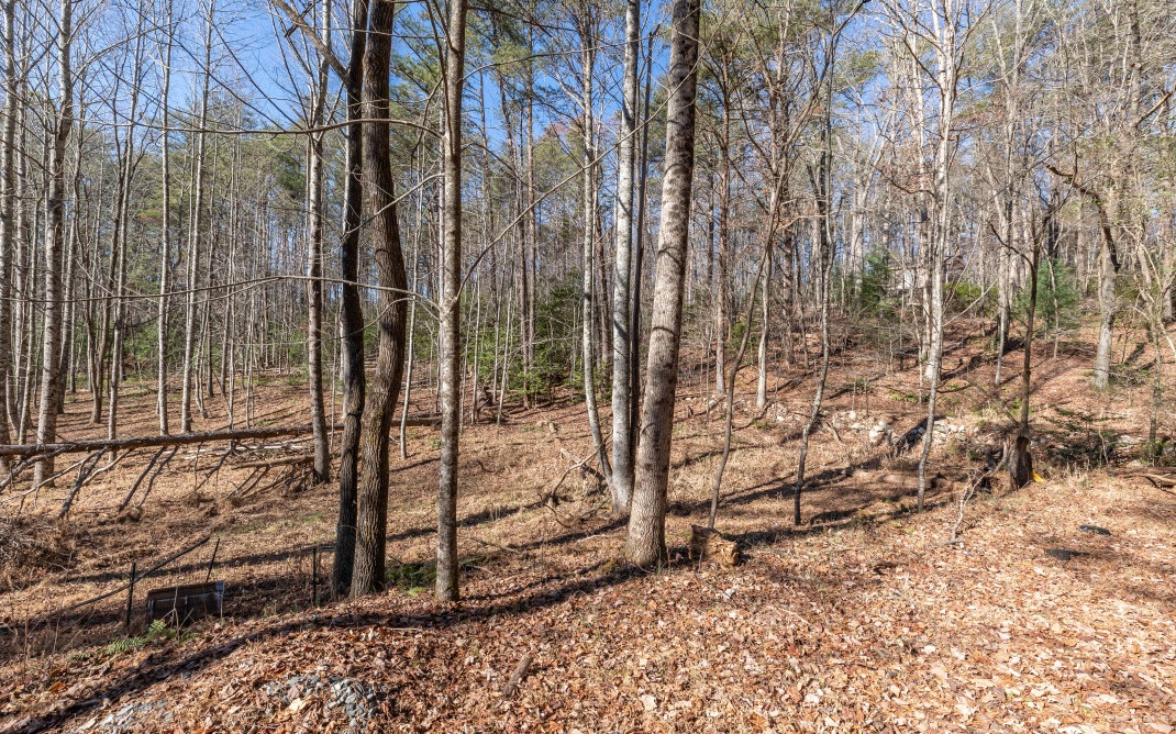 Looking for a homesite buffered from the outside world and located in the north GA mountains? How does 32.75 acres sound? Located 28 minutes east of downtown Ellijay, this wooded lot is ready for your custom-built home with access to power and well water, a registered 911 address, and shared driveway. The property has a small building onsite which was previously used as a hunting cabin. The terrain is a mixture of level, gentle and rolling but with so much land, you’re sure to find the perfect spot to build ‘til your heart’s content! Ellijay and the surrounding area offers loads of things to do for the outdoor enthusiast including hiking, climbing, kayaking, and spending time at one of the many area national parks.