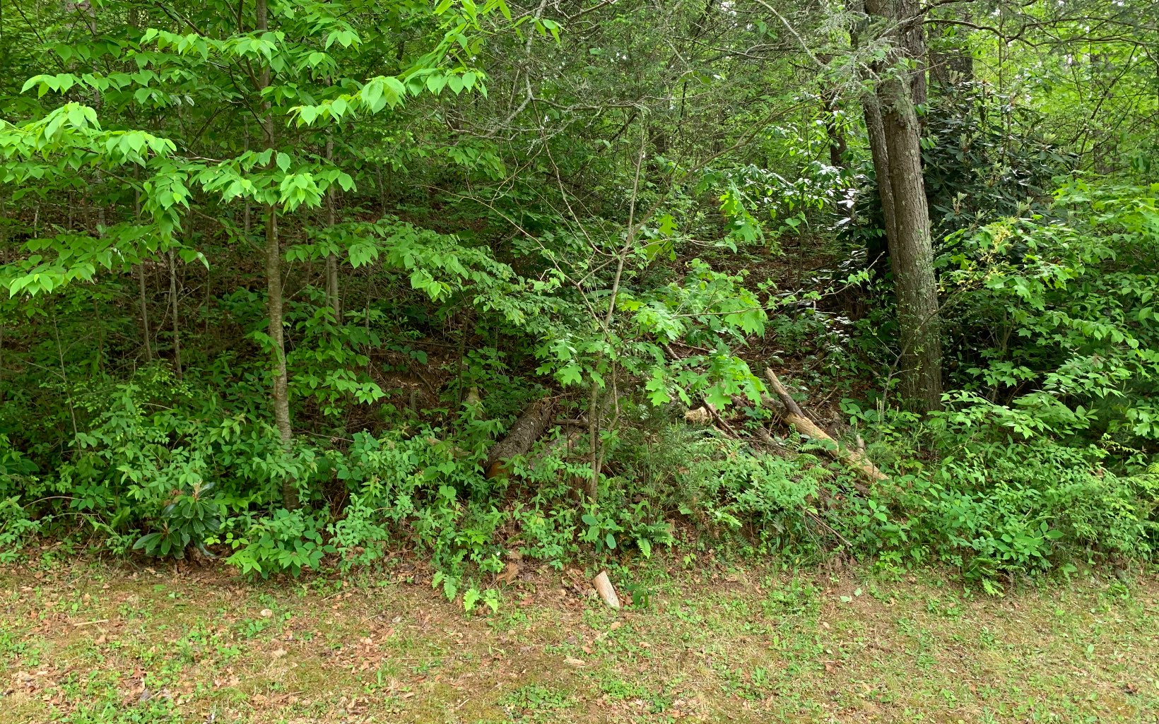 GREAT LOT IN THE NORTH GA MOUNTAINS. PERFECT PLACE TO BUILD YOUR MOUNTAIN GETAWAY! Located in an upscale community with wide paved roads, a pavilion with outdoor fireplace, this .89 of an acre lot offers nice mountain views.