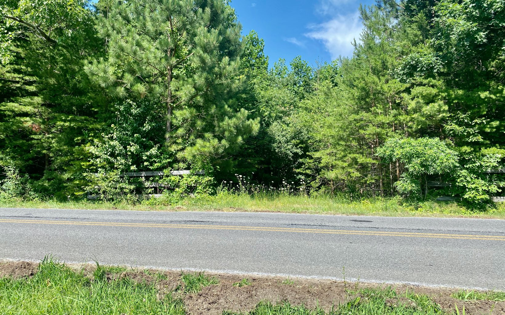 LONG RANGE YEAR AROUND MOUNTAIN VIEW ACREAGE - 3.96 Acres located in Beautiful Ellijay, Georgia. Only minutes from Downtown Ellijay, Paved Road Frontage, Electric Near Property, Hardwood Trees.