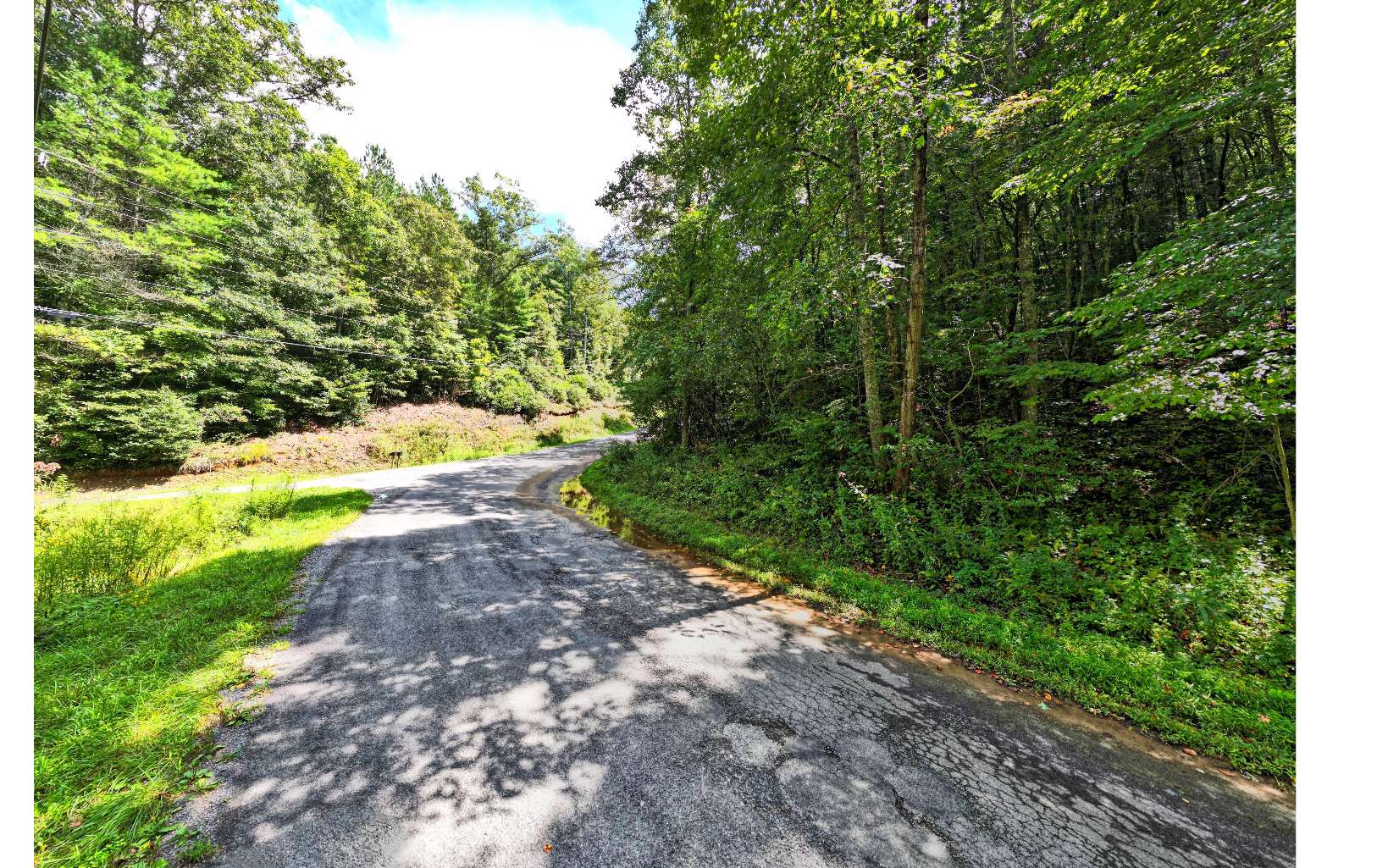 Want to have large acreage but not be totally isolated from getting to town for groceries and day trips? Want to have paved roads leading all the way to your property? This 12 acre parcel in BEAUTIFUL ELLIJAY, GA is only 10 min to town and still feels like it is AWAY FROM IT ALL! Very minimal restrictions in place to protect your investment. NO HOA or FEES. Opportunities abound on this acreage and the location is so CONVENIENT and yet so PRIVATE! Perfect to build your hideaway retreat. Property has already been perked for septic. The WILDLIFE LOVES IT HERE and YOU WILL TOO! It's time to leave the busy of the world behind and escape to your mountain retreat on Pleasant Gap Rd. Convenient to Carters Lake for your lake adventures and numerous hiking trails nearby to explore. Your Ellijay mountain retreat is waiting for you to build it on this beautiful wooded 12 acres on Pleasant Gap Rd. Come see and explore it today!