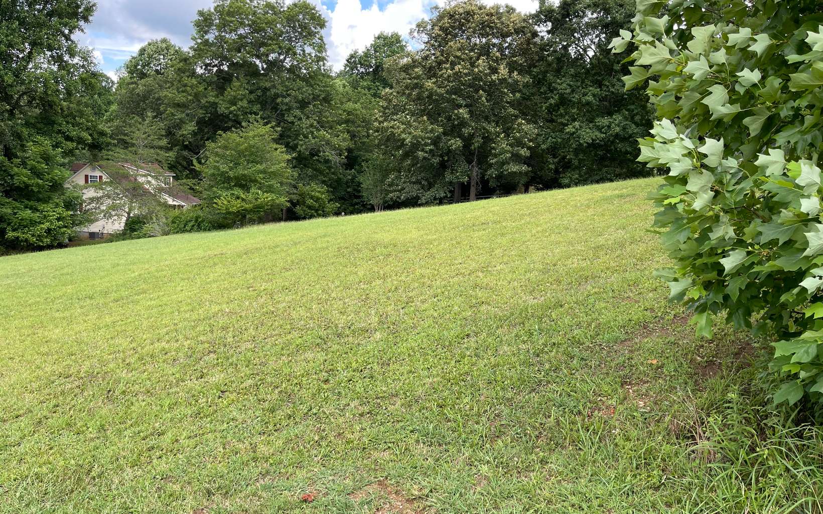 Wonderful long range mountain views, great small subdivision with very nice and well kept homes. The lot boasts just under an acre, outstanding level to gentle site.
