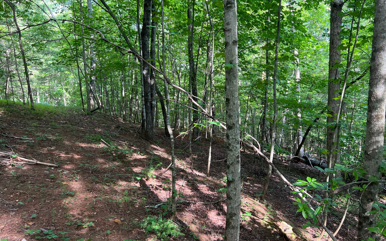 Nice gentle laying lot right in between Blue Ridge and McCaysville. Only a few miles from the hospital. Beautiful trees provide a picturesque canopy. Great building site. Great area of nice homes. Small branch at the bottom of the property. Come see this today.