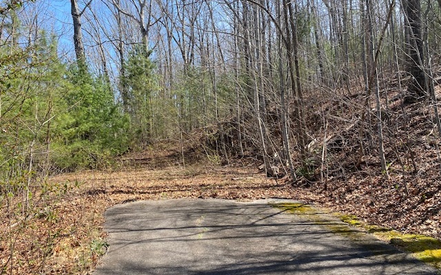 Great lot with mountain views. Located just minutes from town in an upscale subdivision featuring paved roads, and public utilities. Lot 11 & 12 also available for a total of 2.63 Acres. Properties can be purchased together at a discount.