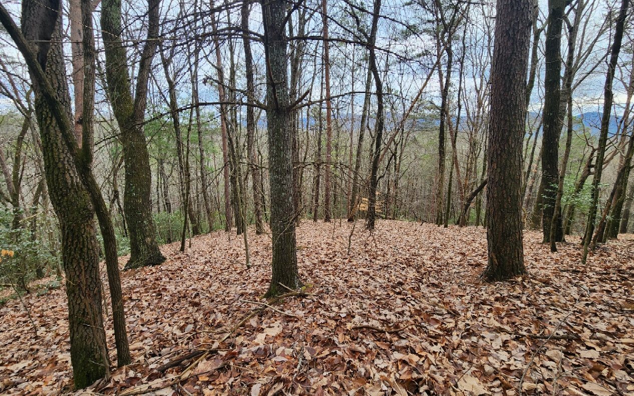 Looking for a lot with a mountain view? Check out Lot 516 in the mountain golf community of Buckhorn Estates. Conveniently located between Blue Ridge and Ellijay with all paved easy access, low HOA fees are only $200 per year. Buckhorn Estates offers such things as a beautiful park on the Ellijay River, an 8-acre fishing lake and the Whitepath Golf Course, which is an 18-hole public course. Plenty of wildlife to enjoy. Everything to enjoy about the mountains but only 10 minutes to town.