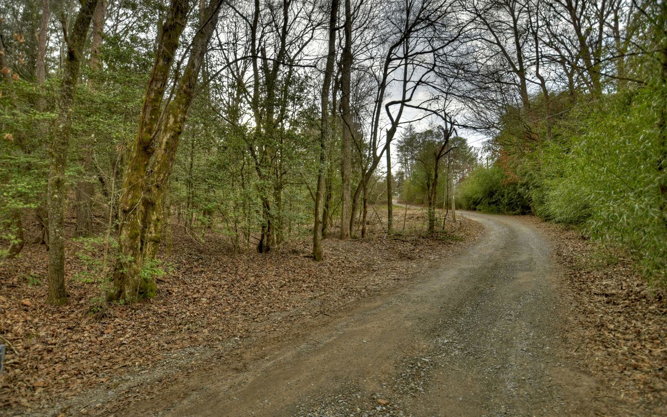 Gorgeous lot close to town with mostly paved access. There are hemlock and hardwoods on the property, and it lays well. Should be easy to build on. There are protective covenants. Bring offers!