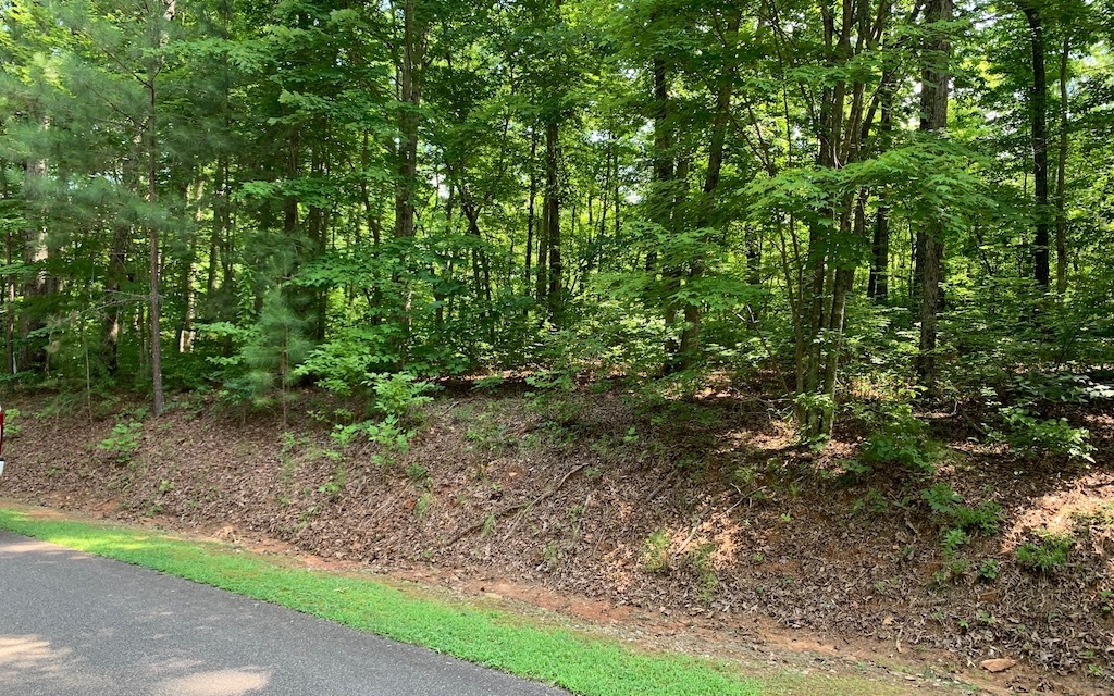 This very nice level and gentle building lot is perfect for building your dream home with a crawlspace or daylight basement. The land has all of the characteristics to accomplish both – so you choose. Located just minutes from the Doll Mountain boat ramp at Carters Lake, a 3,200 acre lake that is more than 450 feet deep and one of the most scenic lakes in the Southeast. This private gated community offers paved roads, public utilities, walking/hiking trails by Harris Branch Creek, a playground, and community pavilion. Come build your dream home today!