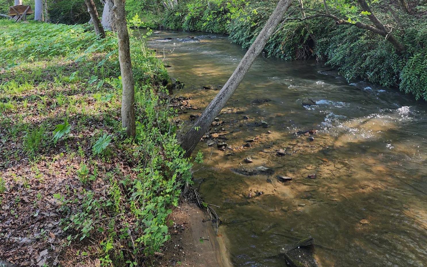 Hot House Creek Frontage! Fly fish in your own trout stream. Loud sounds of the rushing creek year around on this partially wooded/pasture 1.86 acre lot. This property is conveniently located less than 15 minutes from downtown Blue Ridge, Lake Blue Ridge and the Toccoa River.