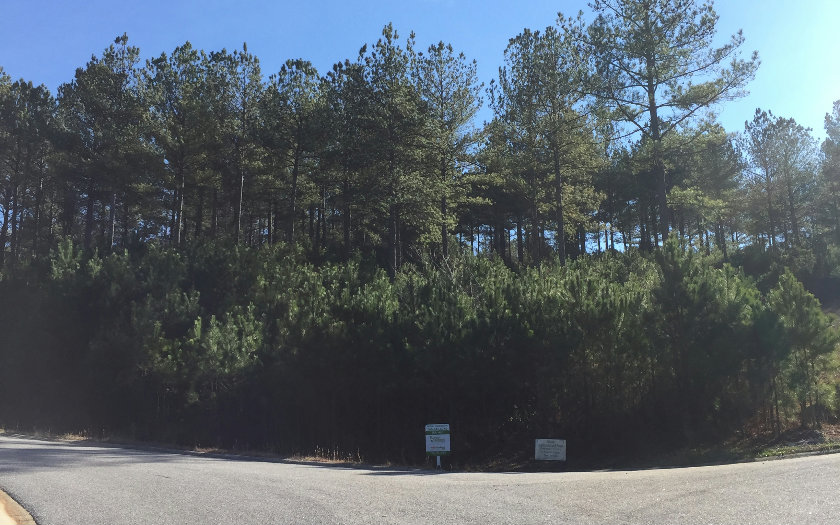 Beautiful mountain view from this 1.29 acre lot in a great subdivision with paved roads & underground utilities. Less than 1/2 mile to Gorgeous Lake Nottely and three miles to Butternut Creek Public golf course. Build your dream home on this wonderful lot and then enjoy all the fun Blairsville has to offer!
