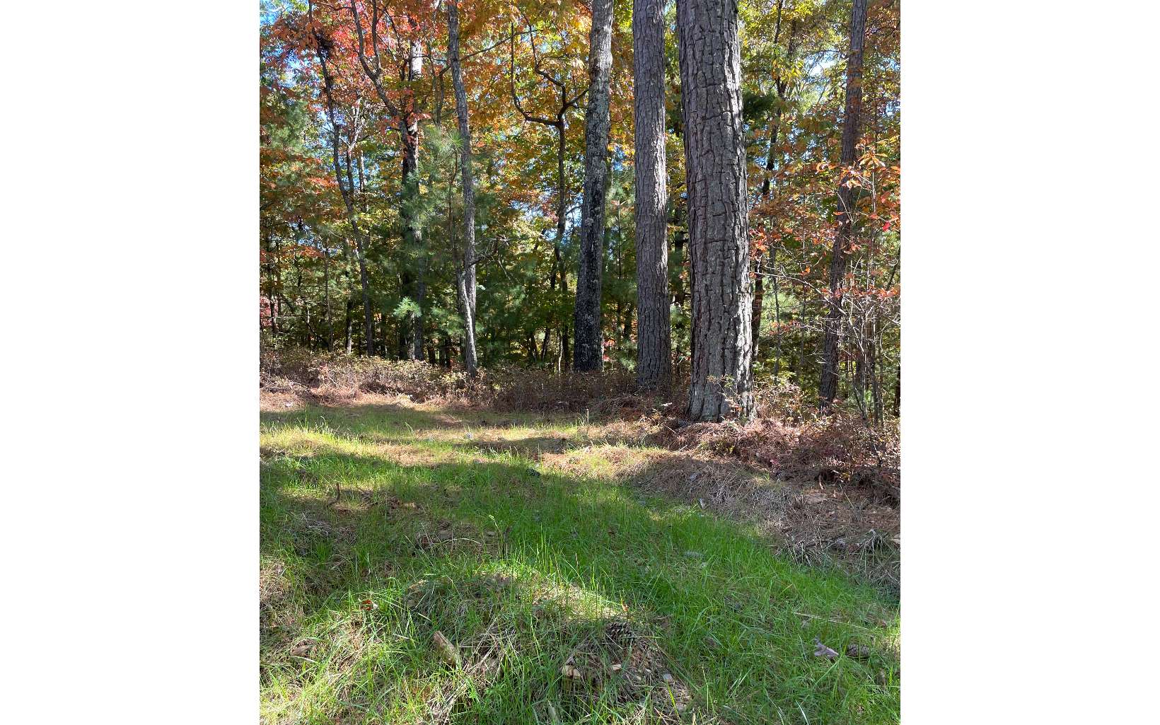 This beautiful UNRESTRICTED property tucked away in Mineral Bluff is a true gem. It is 1.61+/- acres that runs adjacent to the Toccoa River, with total river access, complete with a boat launch area! This land has been surveyed and soil/mineral tested. Surveyors also marked off the perfect spot to build your dream home on the property. It is on city water and electricity that just needs to be tapped into at the road and ran to homesite. The only thing this property needs is a septic tank! Come check out this beautiful property today, this one won't last long!