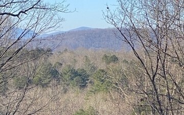 Beautiful Lot located in Morganton GA. Close to Blue Ridge and Blairsville. Seasonal Mountain views and a creek at the back of the property. Soil work on file. Property lines marked. Ready to build. SIP