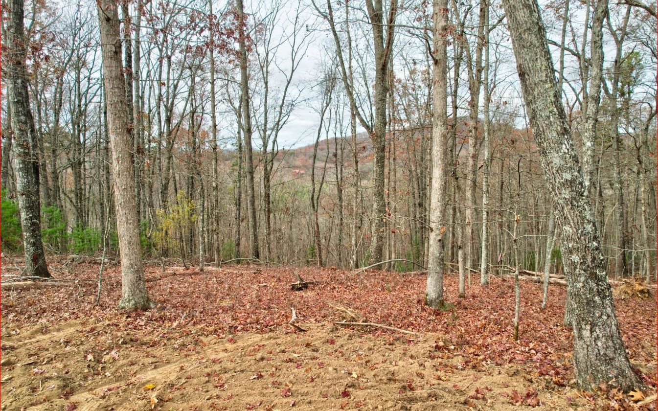 2 acre year round view lot in a private 6 home builder exclusive subdivision located in Mineral Bluff, GA. Easy 20 minute drive to downtown Blue Ridge. Peace and quiet without any road noise overlooking stunning views. No scary curvy roads, drive straight in on top of the ridge. Builder finance options available..build your dream cabin with Log Cabins of Yellowstone, a Blue Ridge Parade of Homes builder. Call listing agents for details.