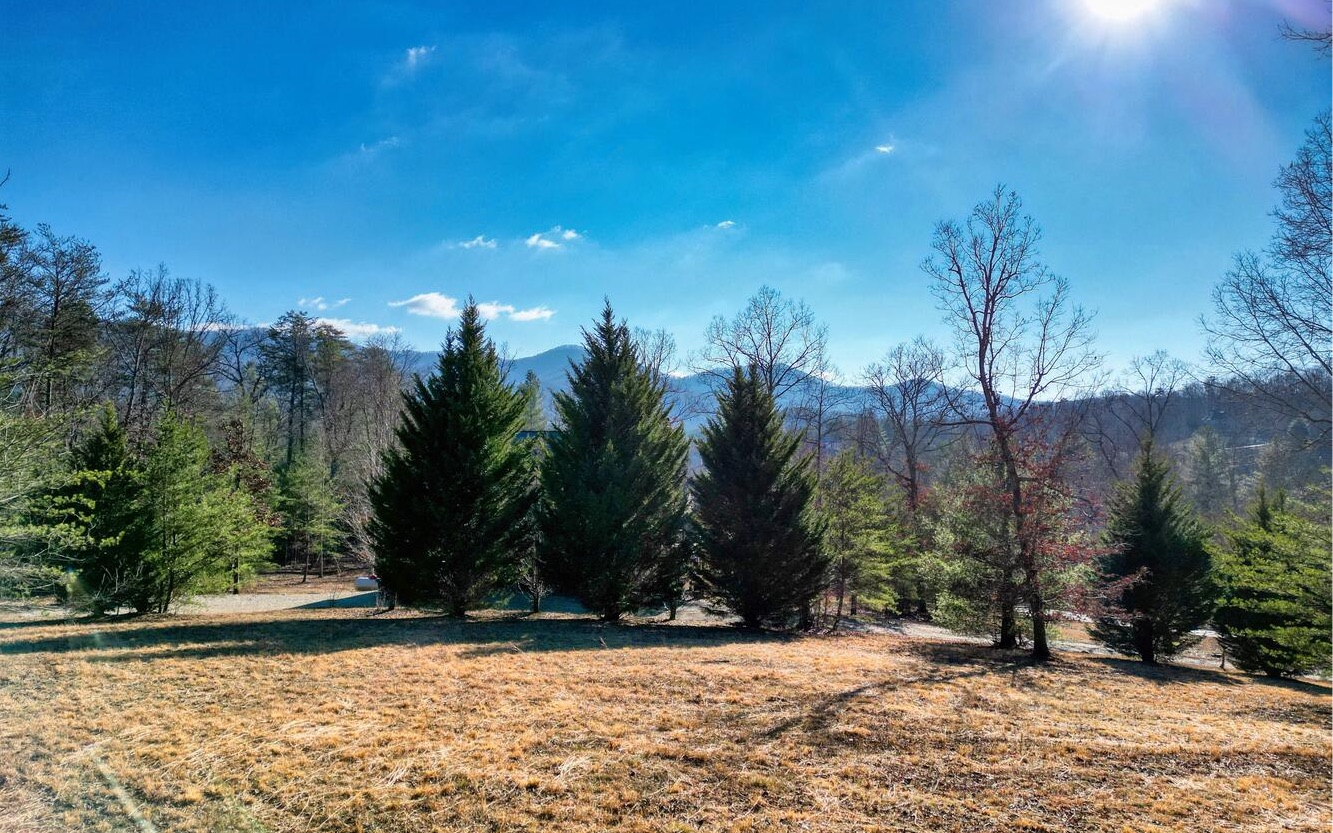 The Lot you've been waiting for!! Gorgeous, level, mostly cleared lot perfect for building your dream home with beautiful seasonal views of the mountains. Build your home and bring your RV. Gated subdivision with underground utilities only minutes from Young Harris, Blairsville and Murphy, NC.