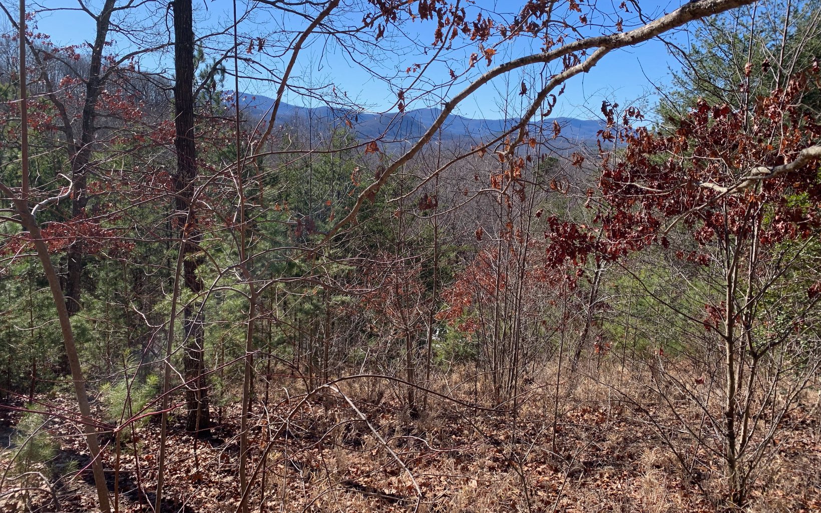 Gorgeous Mountain View Lot within a mile from Downtown Blairsville. Great Building Site! Paved Roads. Previously permitted for 3-4 bedrooms. Driveway is in. Excellent building site. Underground utilities and public water.