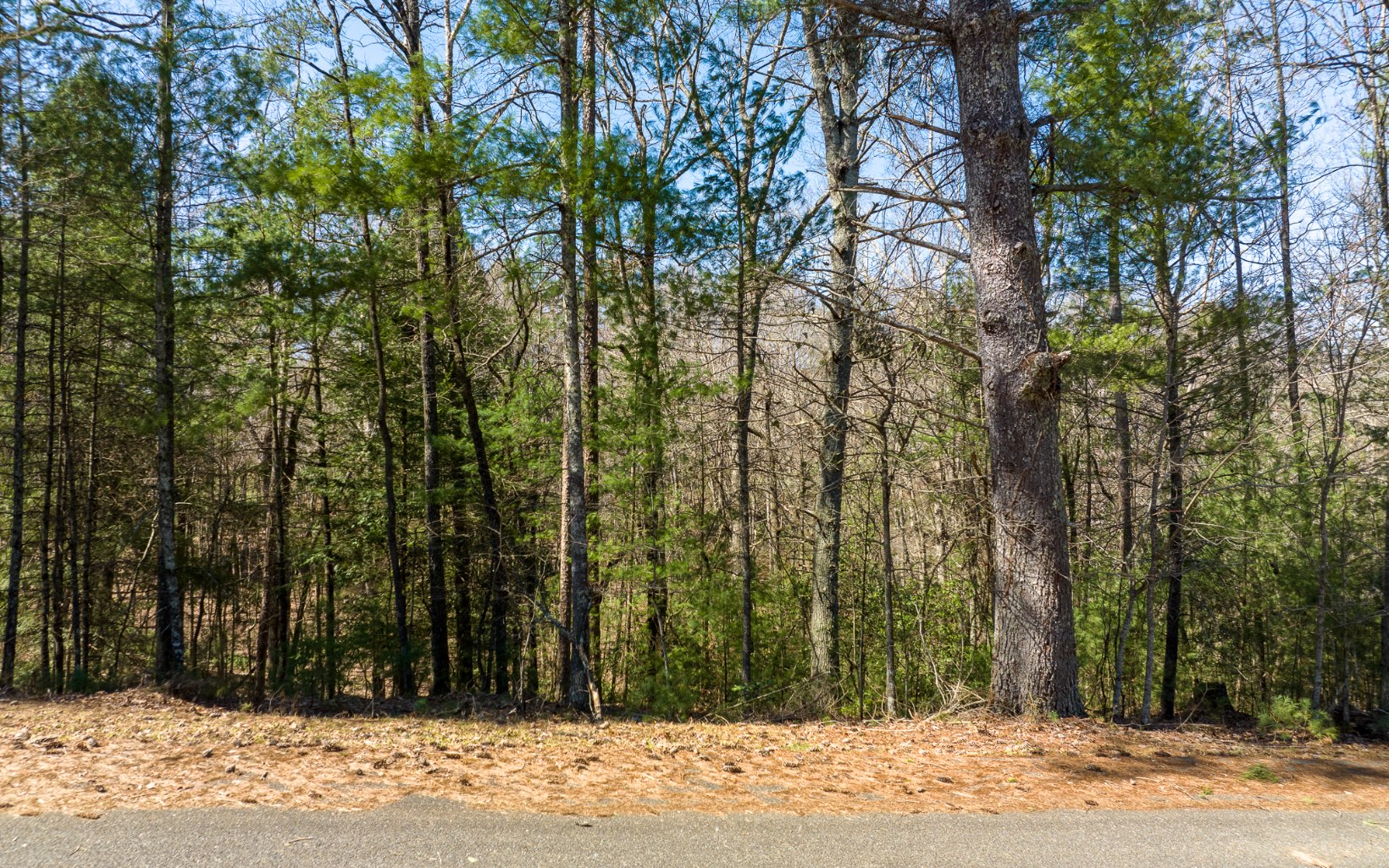 One of the most affordable lots for sale in Buckhorn Estates. This lot is .74 acres & offers a seasonal mountain view from the front of the lot; sloped, yet buildable. It's conveniently located between Blue Ridge and Ellijay with all paved roads, high speed internet, cable TV, & low HOA fees of only $225 per year. Buckhorn Estates offers a beautiful river park, an 8 acre fishing lake and the pleasure of driving your golf cart over to Whitepath Golf Course. (18 hole GOLF COURSE open to the public.) This community has everything you enjoy about the mountains and is only 10 minutes to town. *Gilmer County offers "no school tax" for full time residents over the age of 65.*