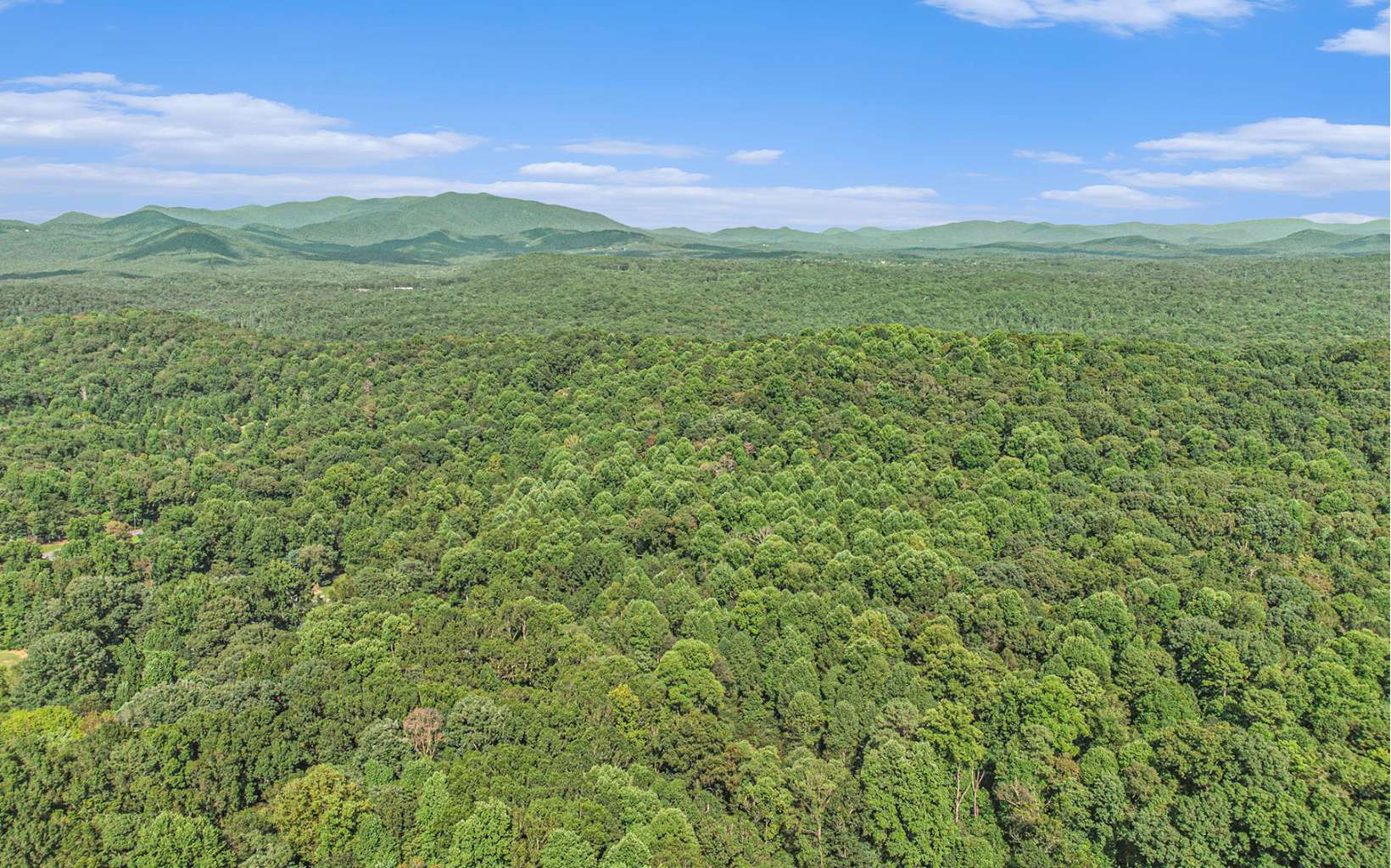 54+ Unrestricted acres within 5 miles of town on all paved roads with public water. This gorgeous tract features rolling acreage with long range views, meandering creek frontage, and overlooks a beautiful pasture. Can be accessed from Hickory Ridge Road or Yukon. Perfect for development or your own private retreat. Additional Lots available by same seller at top of Hickory Ridge Development.