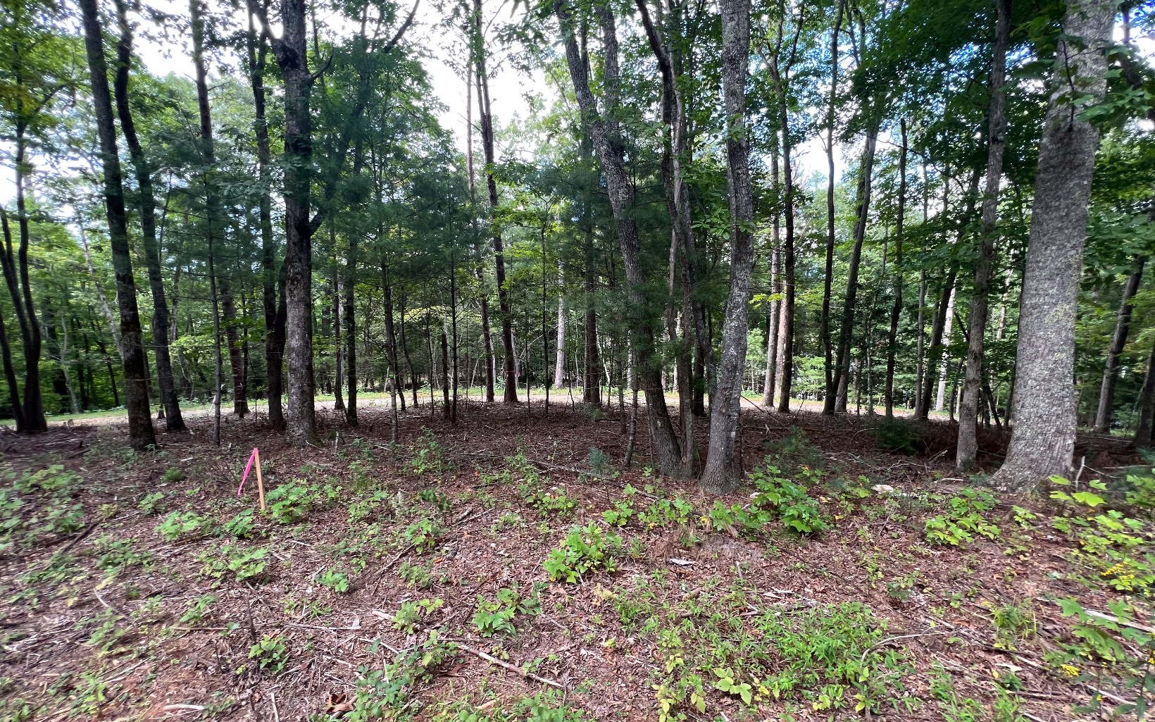 Bring your home plans. 3 Acre Building lot with Amazing View Potential, Level enough for slab foundation if desired! Hard to find minimal restrictions, gentle access in Desirable Choestoe Area. Additional lots available for total ridge top privacy.