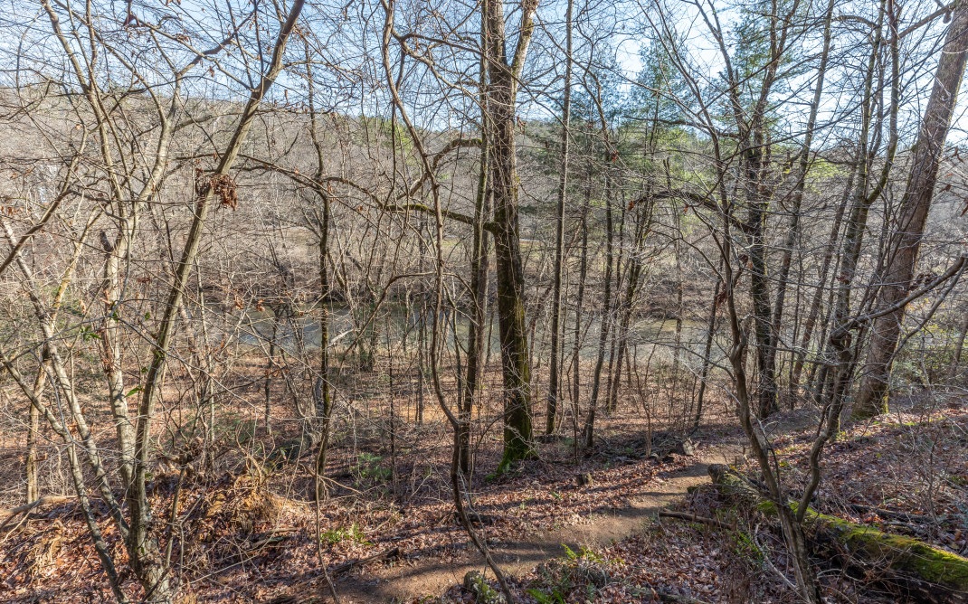 Located on a cul de sac street and backing up to the Cartecay River is this lovely wooded homesite, a quick 10 minute drive from DT Ellijay. Take a short walk on the property’s path that leads down to a picnic table by the river for an afternoon of peace and quiet. The gated community offers buried utilities for unobstructed views, paved roads, county water access, tennis court, swimming pool, common area, picnic tables, and walking trails. The protective covenants help maintain property values and restrict the use of mobile homes. Minimum heated square footage to build is 1600 sq ft. Move to Ellijay and enjoy the great outdoors and all it has to offer including hiking trails, national parks, water sports like tubing, kayaking, and trout fishing on one of the many lakes and rivers in the area, and of course the shopping & dining options found downtown. The mountain life is calling so why not answer the call here for the best of all worlds!