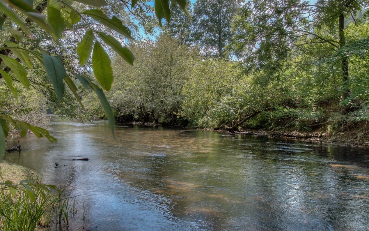 Check out this 3 Acre Riverfront Lot with 200 feet of frontage on the Ellijay River. (Prepped and ready to build.) Located in the sought after community of River Escape, nestled in Cherry Log between the mountain towns of Blue Ridge and Ellijay. This private, yet convenient community offers amenities such as gated access and a common area along the river's edge with an outdoor fire pit. All the lots in this community have a minimum of 3 acres providing good privacy, Vacation rentals are allowed. HOA fee is $600 per year. You will love the quiet mountain lifestyle & abundant wildlife in this community. (Shared driveway and shared well with 383 River Escape.)