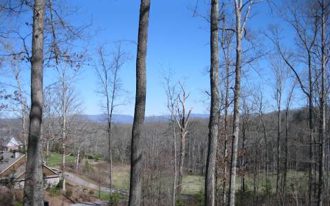 Wooded lot on gentle slope with year round mtn views and seasonal lake views. Very close to town.