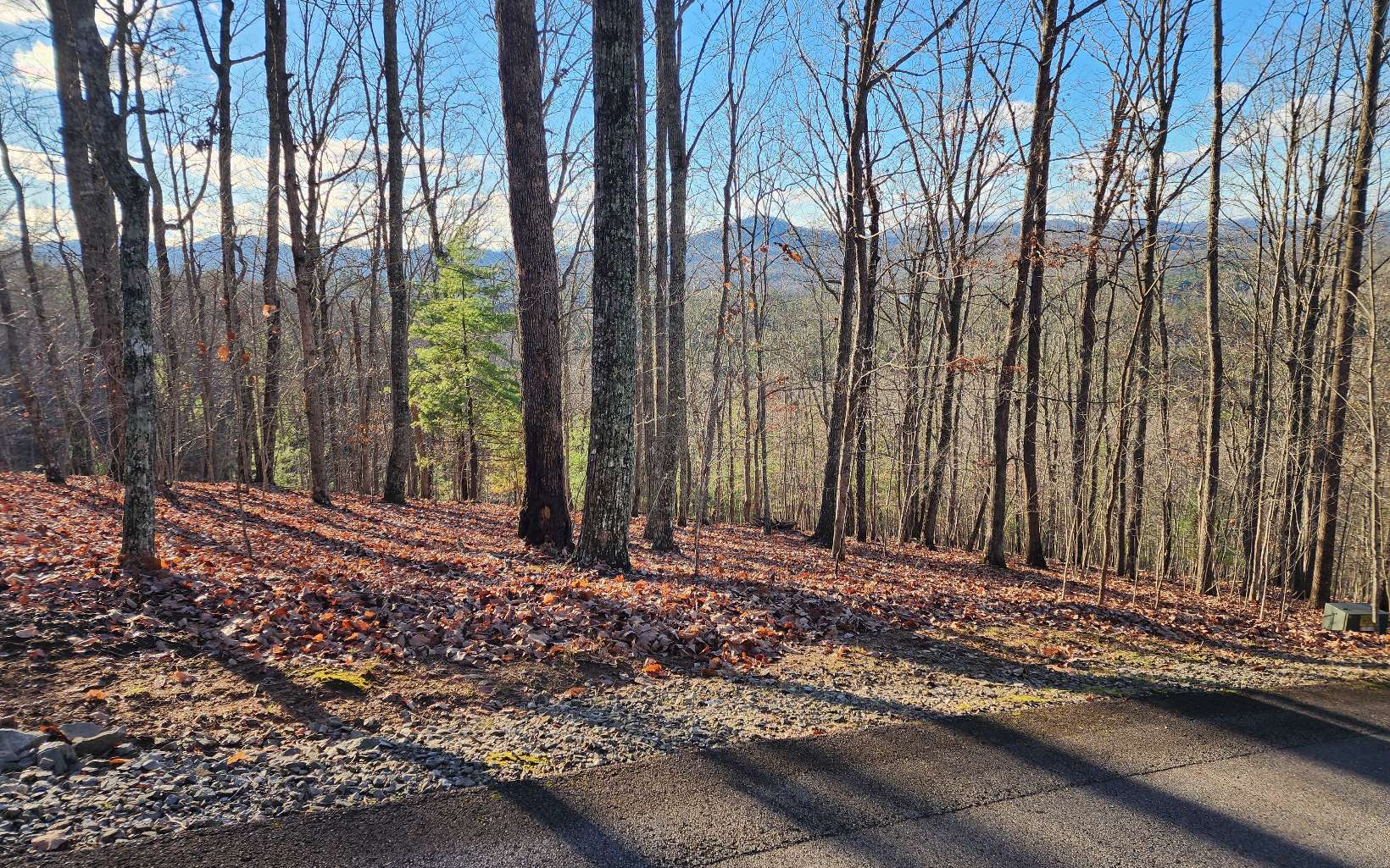 Beautiful Long Range Mountain view lot in Deer Creek Estates, Underground utilities, and County water. The lot elevation is approximately 2200 ft with a West facing view, providing some very nice sunset views of the North Georgia Mountains. All paved roads, close to town and beautiful Lake Nottely. 1.3 acres in a quiet, friendly community, nearby public boat ramps, and a marina. Convenient to Blue Ridge, Blairsville, and Murphy NC.