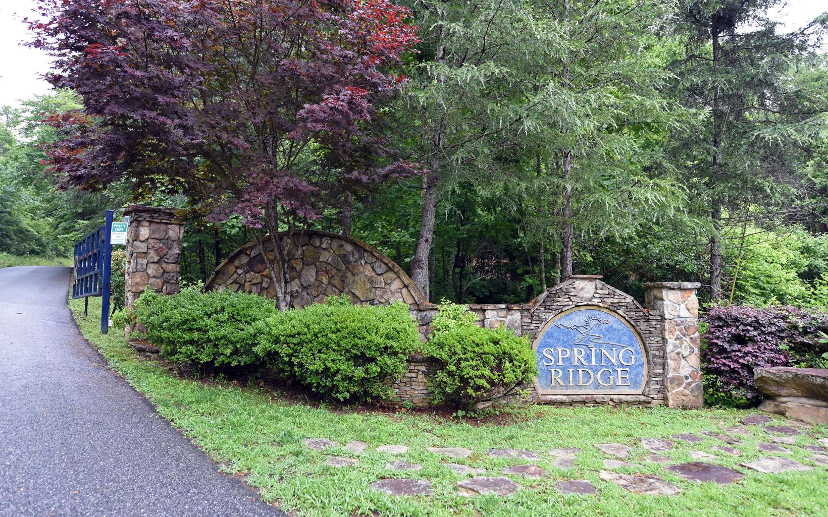 Great building lot in the gated subdivision of Spring Ridge. The lot has a driveway from the paved road up to the perfect spot to build your dream home with mountain views and room for a garage if desired. Spring Ridge is centrally located between Blue Ridge and Blairsville. Soil work completed. BREMC fiber is available on Squirrel Hunting Road near subdivision entrance. Come check out this lot and see if this will be the perfect spot for you!