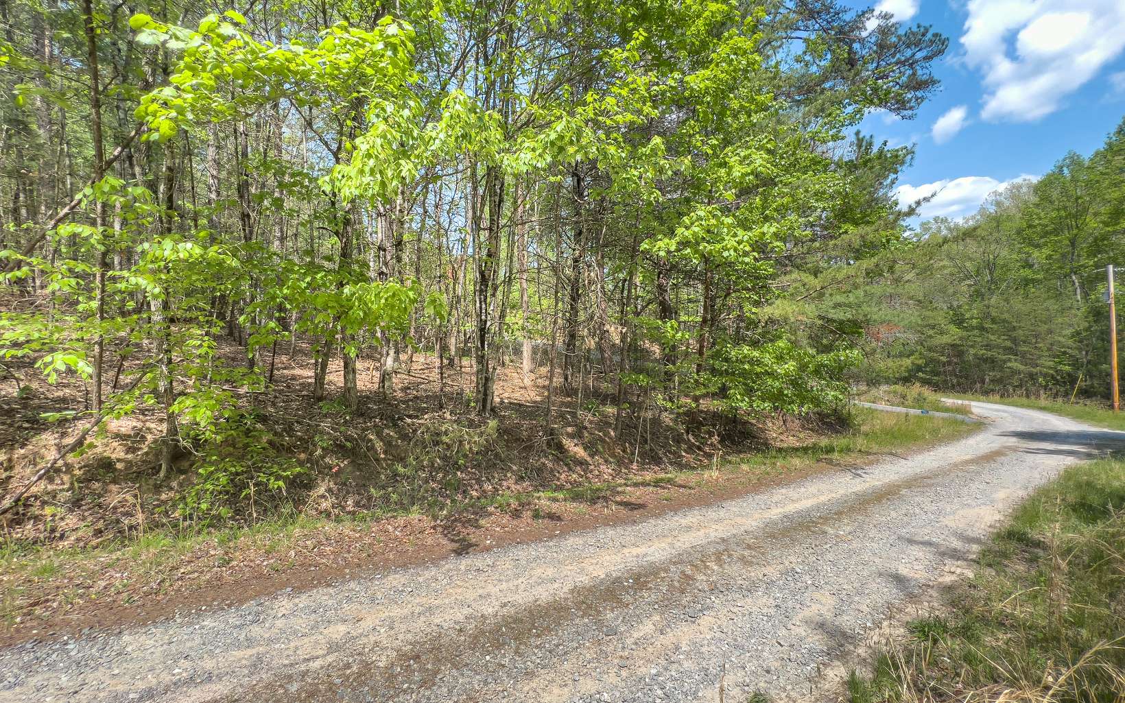 This 3.46 acre unrestricted lot has both Twin Springs Road access and Whisperwood Trail frontage. It has gentle wooded terrain with some mild slopes leading to the road frontage on Whisperwood Trail. This neighborhood is secluded, but still fairly close to Blue Ridge, McCaysville, and Ducktown, with all of their shopping areas, parks, and Toccoa/Ocoee River access points.Four neighboring parcels are also listed. See Docs for locations (this listing parcel will have a star icon). Special Consideration will be provided if Buyer wants to purchase all 5 lots with over 15 AC and 300+ feet of Synacia Creek frontage. NEGA Listings 317949, 317950, 317951, 317952, 317953
