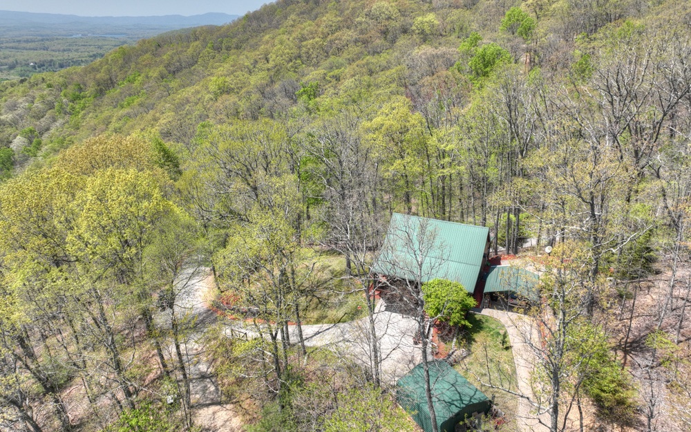 Sitting at over 2400 elevation in one of the most gorgeous areas of Fannin County sits your piece of Heaven. There is plenty of room for parking for multiple vehicles. One of the driveways offers level access into the home. There could be YEAR ROUND BREATHTAKING VIEWS with some vista pruning..This one is built like a fortress. The interior is spacious with lots of glass to take in the views. There is a bedroom on each level with a half bath on the main level for guest. The terrace level is almost like its own suite. This one would make a perfect full time cabin, weekend or rental cabin.