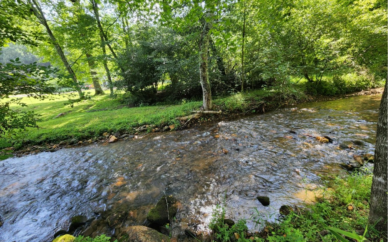 Nestled in the valley of the premier Aska Adventure area of Blue Ridge lays this beautiful, unrestricted, 3.2 acre tract. With over 250ft of roaring creek frontage of Stanley Creek this property boasts multiple gentle to level build sites. Bring your builder and come explore what this paradise has to offer!