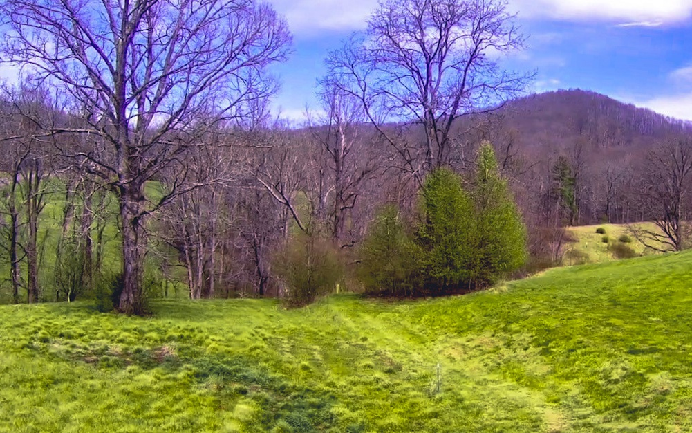 BEAUTIFUL 1.34 ACRE MOUNTAIN VIEW LOT! This Lot is Very Gentle Laying for Easy Build and Located less than 3 miles to Blairsville and just across from a Marina on Lake Nottely! The Arbor is A Gated Community with Amenities such as Clubhouse, Saltwater Pool, Tennis Courts W/a Gorgeous Year-Round Mountain View! It also Offers Bike and Cart lanes, 2 Ponds, and Private Access to the Chattahoochee National Forest! Hike Right From the Community! Easy Access w/Paved Roads, Public Water, Underground Utilities & Fiber Optic service. GREAT LOCATION! The county offers hiking access to the Appalachian Trail, waterfalls, Vogel State Park, Meeks Park, Brasstown Bald (GA's highest mountain) and lots of other hiking trails. So Close to Great Restaurants, Quaint Shops around the Historic Square, 2 Golf Courses, Wineries and So Much More! Come Build Your Dream Home!