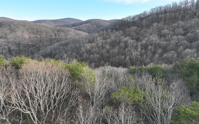 Mountain views and a stream! The grade of this lot allows for beautiful wide and layered seasonal views which some can become UNOBSTRUCTED when clearing for your homesite. The treetop aerial photos show views that will flatten out a bit once you are on the ground; look past the trees on the ground photo shots - these views are beautiful! The shape of this lot gives you a lot of control of what you want to see. Nice building slope toward the front left of the property, and the backside is steep which allows for the unobstructed views. The back border is very steep where you'll find a small stream that is a tributary of Clear Creek just a short distance away. No flat spot on this property. Located in a gated community of luxury homes you'll also enjoy the amenities of a quaint fishing lake, hiking trails, and more. Must be with a real estate agent. min 1400 sqft w 2 car garage and paved driveway, HOA, no rentals, gated, you must be accompanied by a real estate agent.