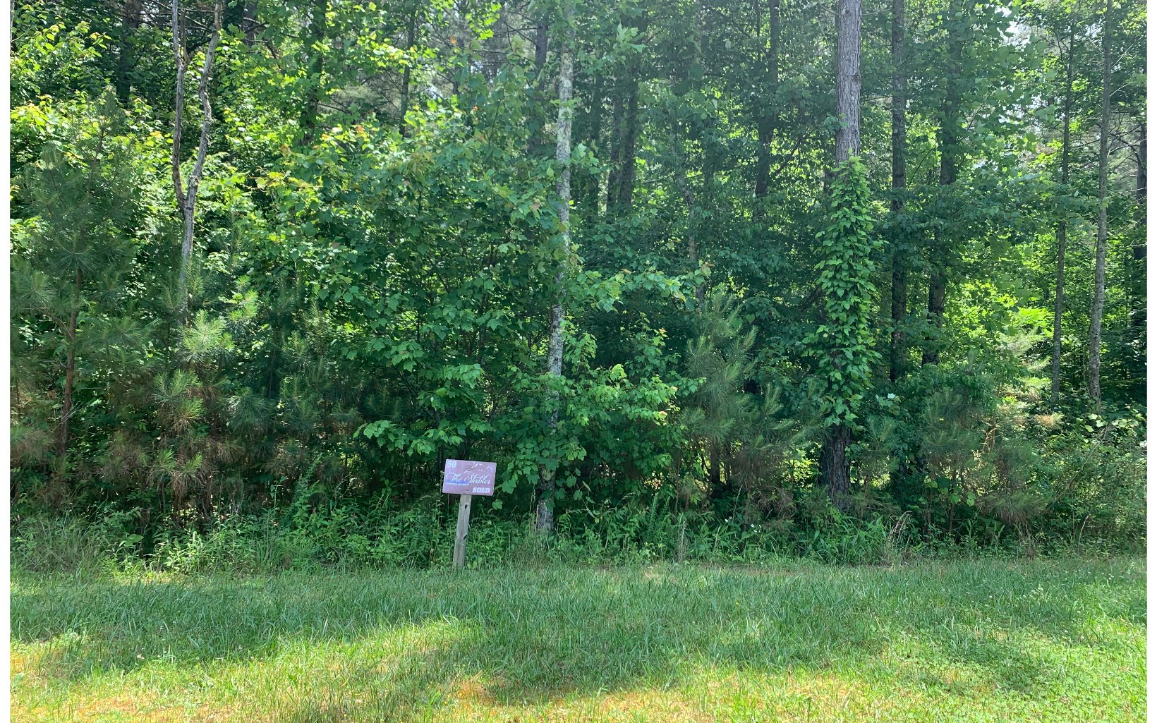 Fantastic lot located in 1300. You don't want to miss the opportunity to have access to all that the community has to offer. 4.35 acres with the perfect spot to build your dream home.