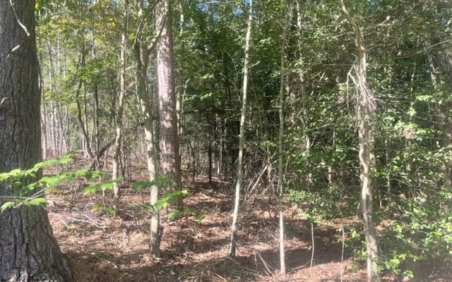 New Subdivision located less than 1/2 mile from Clear Creek Middle and Elementary Schools. Private, rural location with the majority of the lots fronting a large creek. Property is within 3 miles of 4 major wineries and vineyards. Some overlooking pastureland while others are wooded. Utilities including natural gas, phone, cable and internet. Covenants in place to protect your investment. Owner financing available.