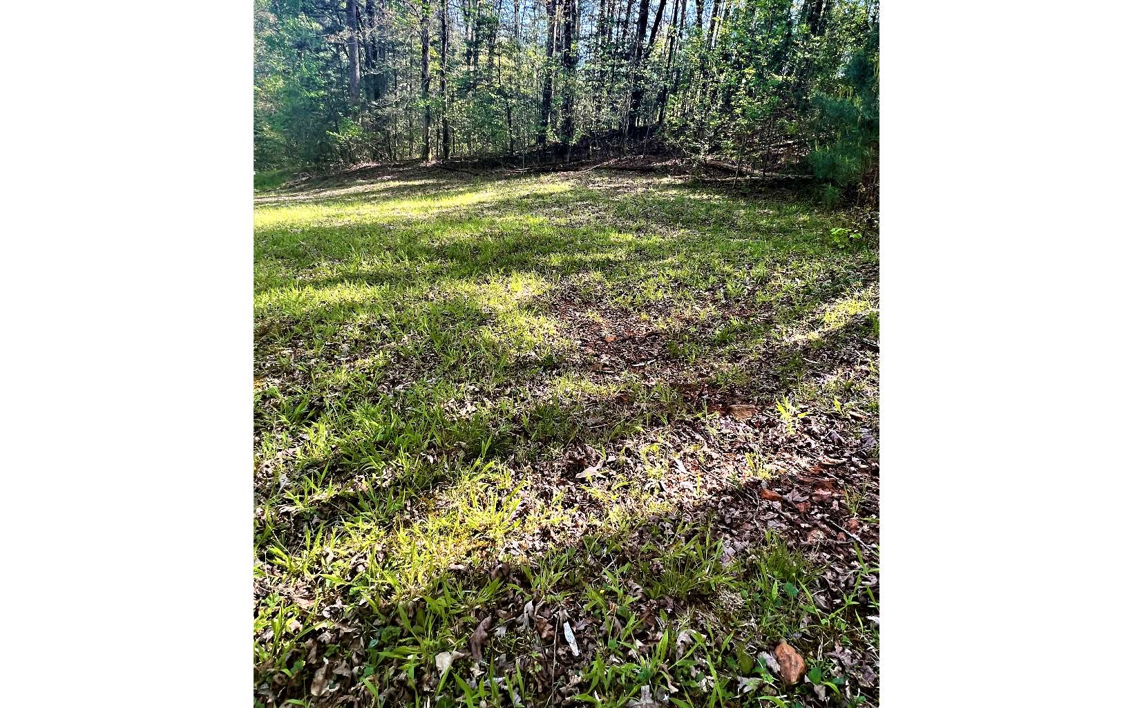 Mountaintown Pathways has very minimal building restrictions. It is a small, very quiet, subdivision just 7.7 Miles from the quaint little town of Downtown Ellijay and Fort Mountain State Park is less than 10 minutes past Mountaintown Rd. This 2.51 acre lot is one of many that were sold but very few of the lots have houses on them at this point as you will see in the photos. This lot has already has a clear PERC test. The current owner bought it with the intention of putting a log cabin kit on the property, but were unable to move up here from Florida. This is one of the only affordable, buildable, lots in Ellijay that isn't too steep and doesn't have a ton of HOA restrictions. The buildable portion of the lot sits back just enough from the road, and it already has the perfect area for a driveway as well. The price has been reduced to reflect the power easement that is up on the hill behind the house. My seller is ready to get this sold! Please make an offer!