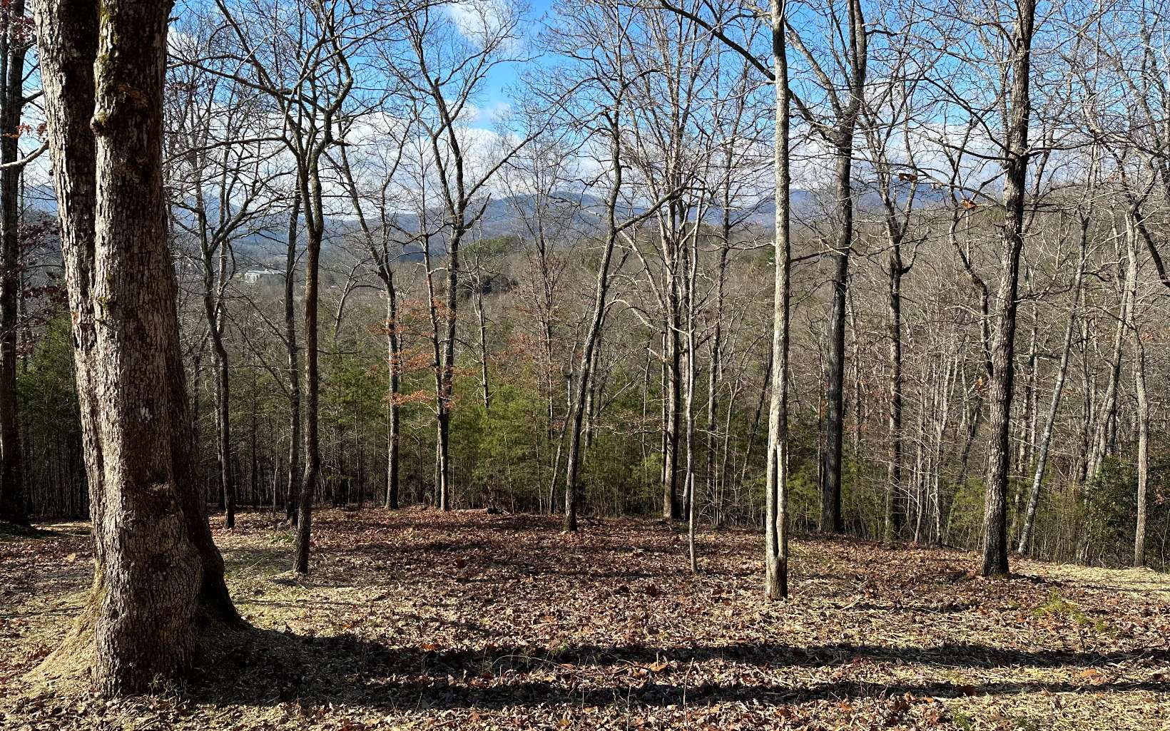 This is ONE OF THE BEST Subdivisions in Young Harris, GA! Gentle Lot, Easy to Build on, Good Access & Great Views! Very Close to Brasstown Valley Resort & Young Harris College. Come and take a look at this Great Lot Located in a Beautiful Neighborhood with Beautiful Homes!