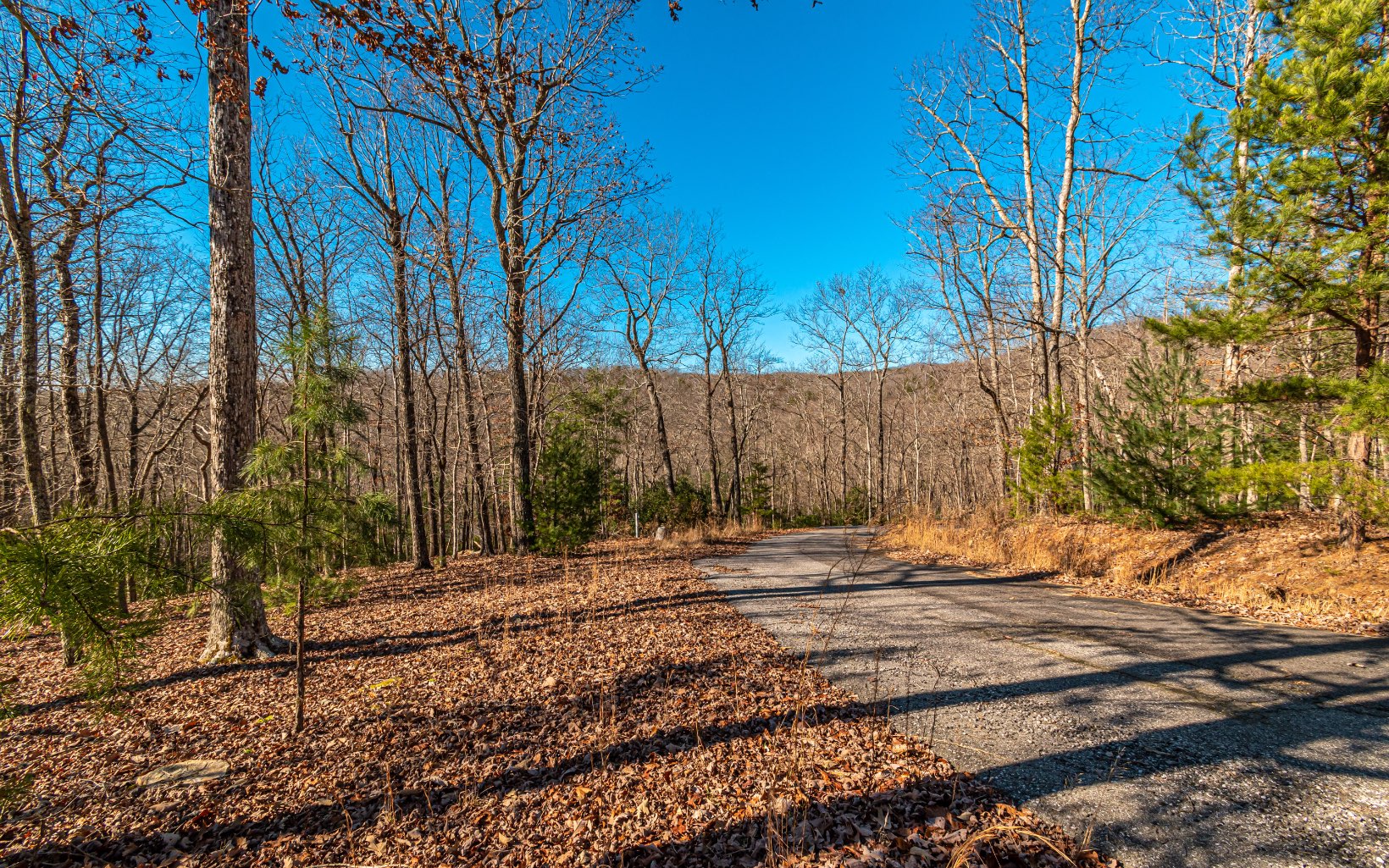 Beautiful gentle wooded 1.82AC lot in the quiet community of Hunters Ridge, located between Blue Ridge and Blairsville GA, just minutes from Downtown Blue Ridge, Lake Blue Ridge, the Toccoa River, shopping, restaurants, hiking trails & more! Get out and hike this gently sloping lot with potentially multiple building sites to choose from, and build the mountain home of your dreams where you can peacefully watch deer and turkey in your own backyard!