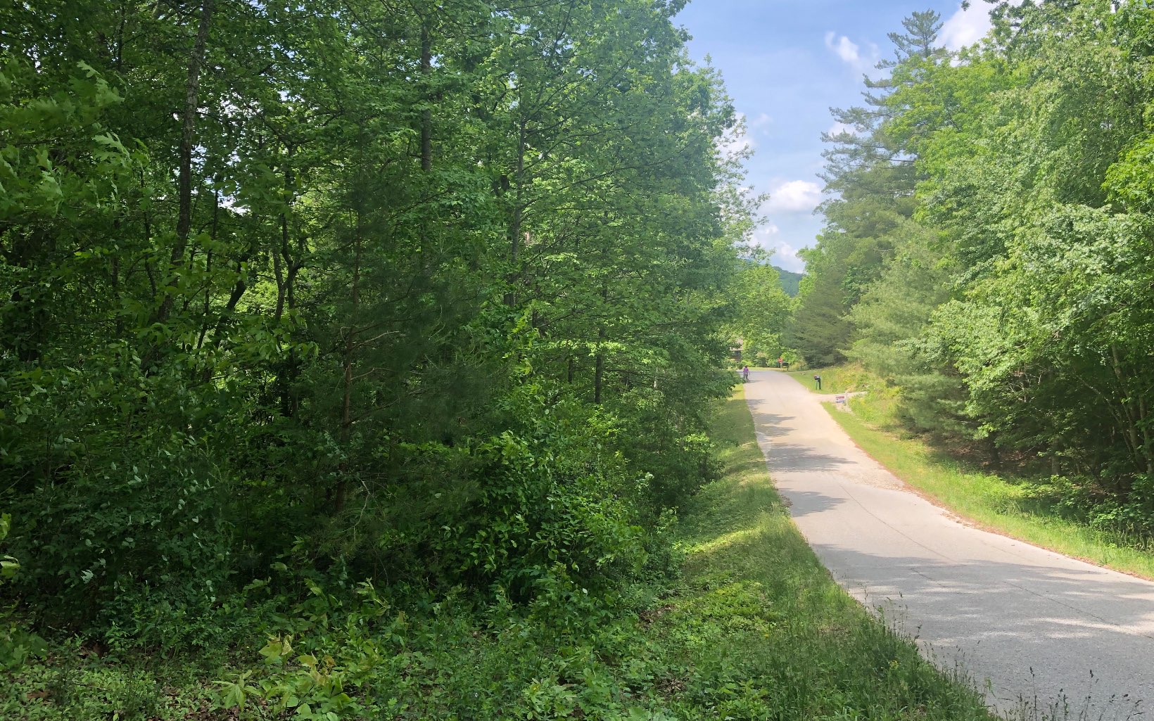 A great building lot in the heart of Blairsville. This 0.97 acre lot is less than 2 miles from Downtown Blairsville on Town Mountain. An established neighborhood with beautiful homes and minimal restrictions. The lot has a small creek (branch) on the property and seasonal views. Underground utilities and community well system in place.