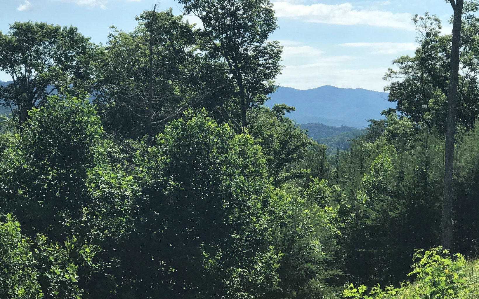 End of the road privacy with seasonal views of Lake Chatuge and surrounding mountains. Nice wooded lot with easy access off the paved street. Minutes from downtown Hiawassee and Lake Chatuge. Enjoy all the area has to offer. Build your mountain dream home!!