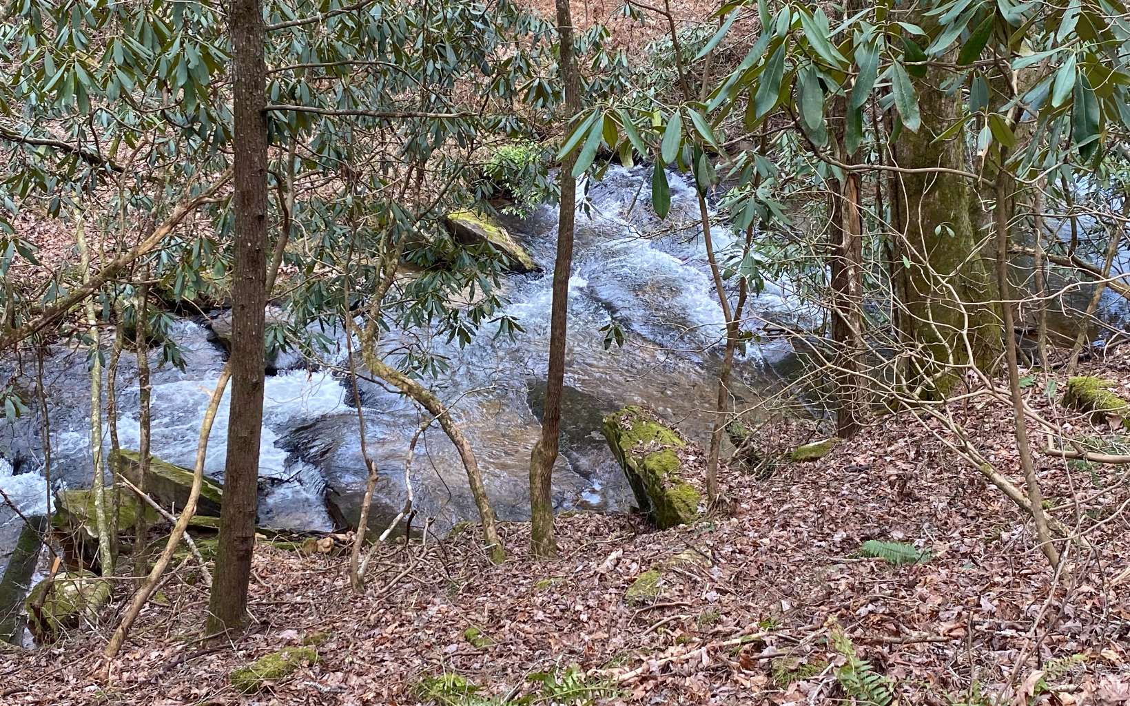 Have the best of what North Georgia living has to offer! This 3.32 acre lot has a great building spot as well as creek frontage with a small waterfall cascading over the rocks! Lots of water noise and views from this lot! You are just a short walk away from access to over 20,000 acres of National Forest. Perfect building spot situated to have the sounds of the creek from your front porch. Easily have two driveways either from front of lot or from back of lot. Mature hardwoods all over the property and native Mountain Laurel throughout. Views of the mountains that are the southern mountain range for the Tennessee Valley Water Shed. Also view of the Georgia/Tennessee lines! Lot shares a well with 4 other homes/lots making water expense very minimal. Wineries, apple orchards, eateries, and more are just a short drive away!