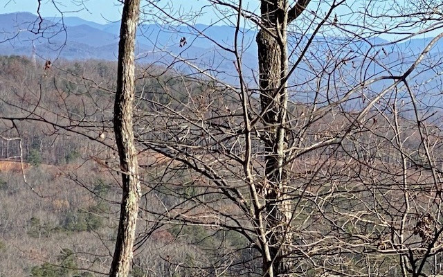 LONG RANGE LAYERED MOUNTAIN VIEWS! This 3.73 acre lot is minutes from downtown Blue Ridge. Easily accessible on all paved roads, this lot has a wonderful mixture of hardwoods, pine and laurel. City water available. Convenient to McCaysville, hiking, biking and all the amenities of Blue Ridge. Soil work completed.