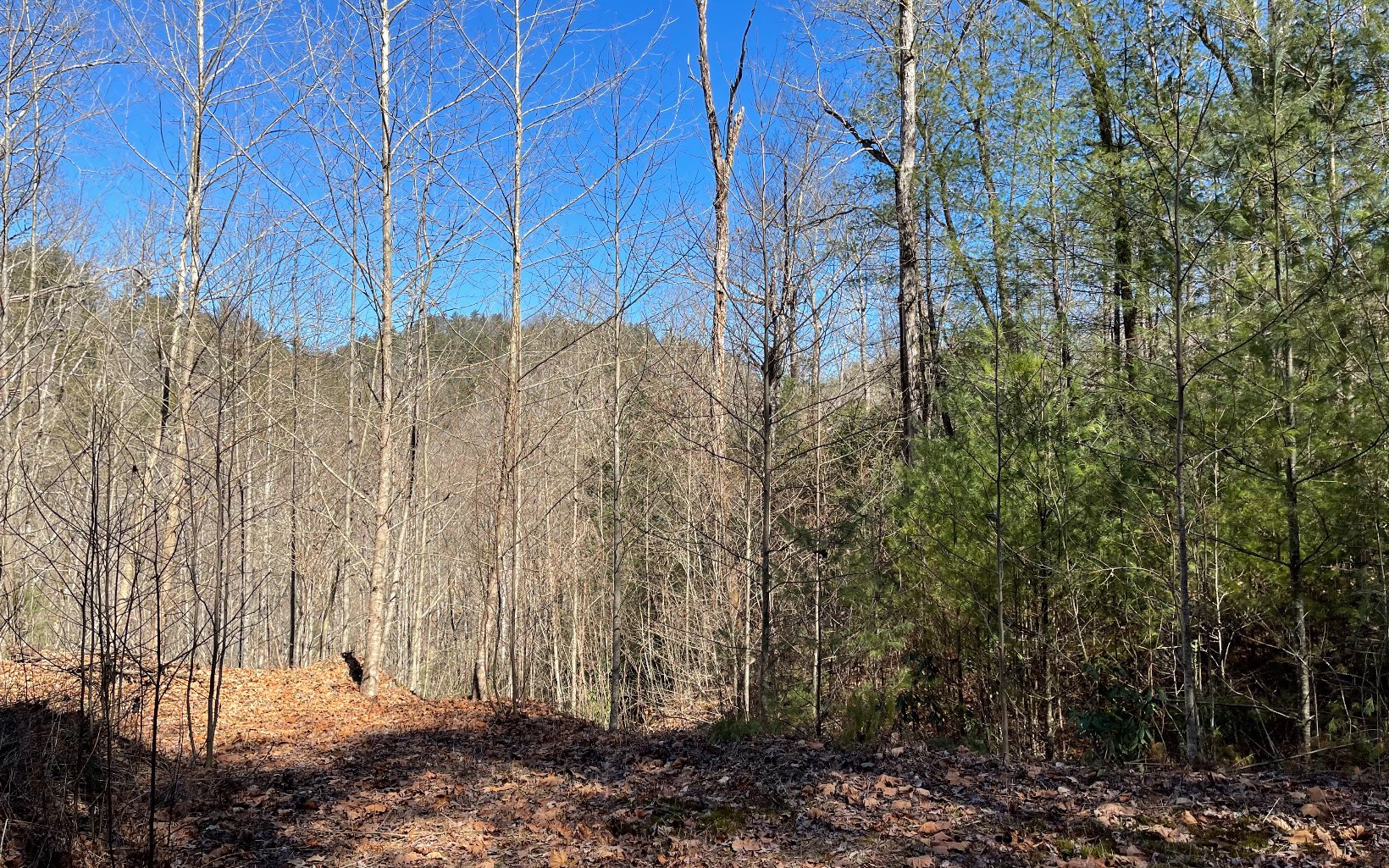 Beautifully wooded lot in the mountains of North Georgia!! Wonderful gated community located between Hiawassee and Helen that offers ponds, creekside fun and fishing and privacy. Short walk to Appalachian trails, in addition a short ride to Brasstown Bald.