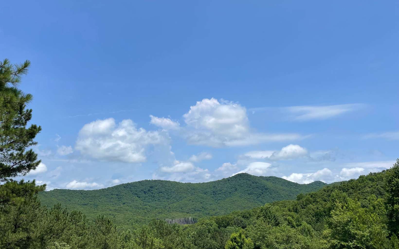 WOW...this has breathtaking views of Union county and only minutes from downtown. 2 minutes from Nottely Marina. Come build your dream home on this amazing lot and enjoy the views. No HOA fees...