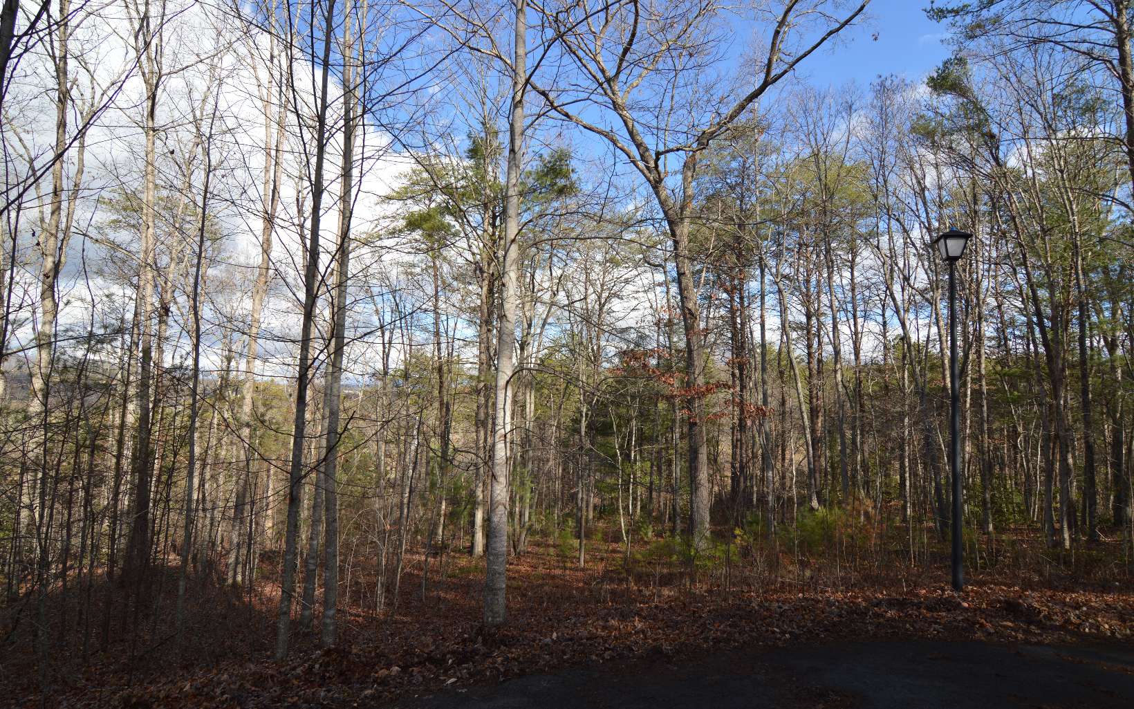 BEAUTIFULLY WOODED LT IN THE MOUNTAINS OF NORTH GEORGIA! If you are looking for a place to build your retreat in the mountains check out this great lot in a great subdivision! This gentle laying lot offers nice mountain views and paved access!