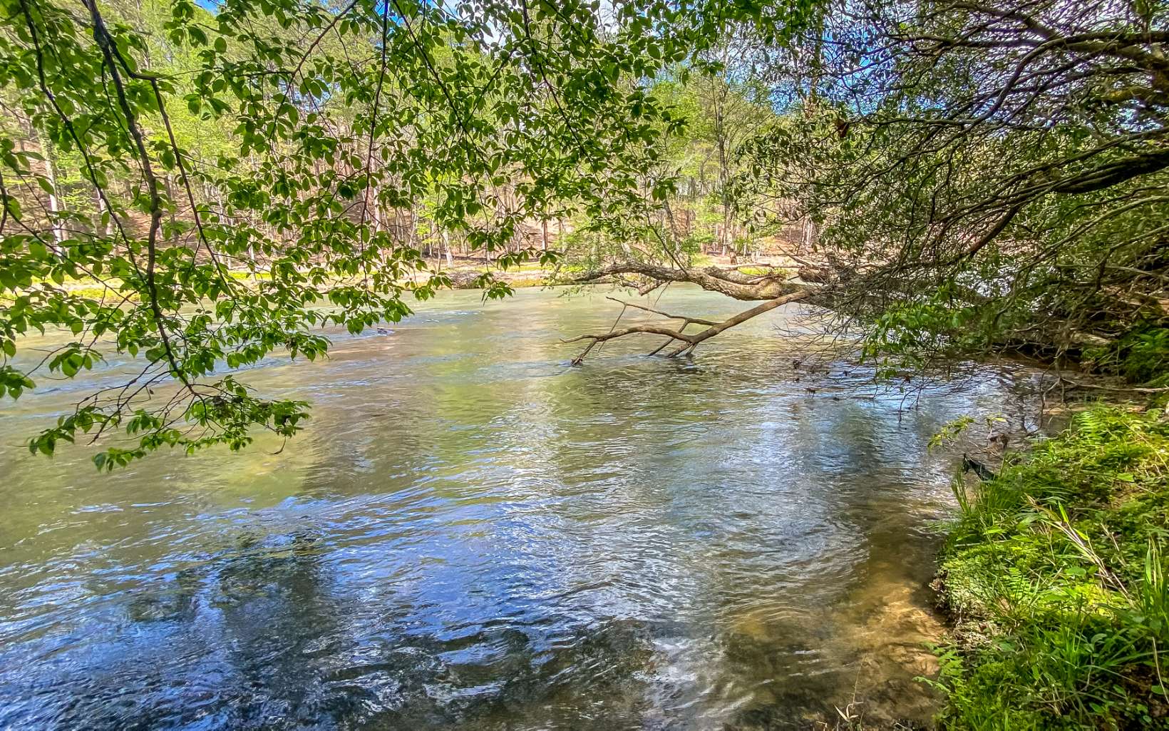 Want to play on your own beach? Tube/kayak to your front door? Listen to the lullaby of the river? Enjoy all the amenities & so much more? Come enjoy this oasis in the mountains. One of a kind perked lot with over 400 feet frontage on the beautiful Coosawattee River. Purchaser will need to apply for new septic permit with set of plans. Previously approved for 3 bedroom. Come visit for a moment & stay for a lifetime! Pools, tennis, game room, exercise room, putt putt golf, canoe launch, walking trails, abundant wildlife. Sale to be 1031 exchange for Seller.