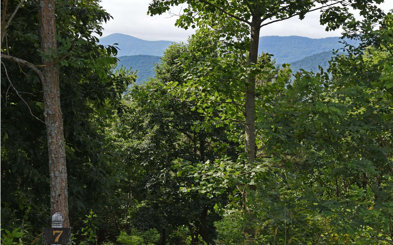Lot with extraordinary views and paved roads, convenient to Blairsville, Lake Nottely and Blue Ridge. Upscale neighborhood with restrictions to protect your values and minimal annual fees. This lot would be ideal for a home with a basement. Views also across the street so almost 360 degree views to enjoy. Neighborhood has little traffic so nice to go for a walk in. Come view this lot and start your plans to build today. Septic and Well required.