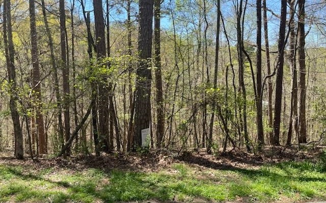 This lot is in a gated community just 5 miles from downtown Ellijay. Build your own home here and enjoy the serenity found in the hills. Enjoy the lake and quiet neighborhood. Bring your offer.