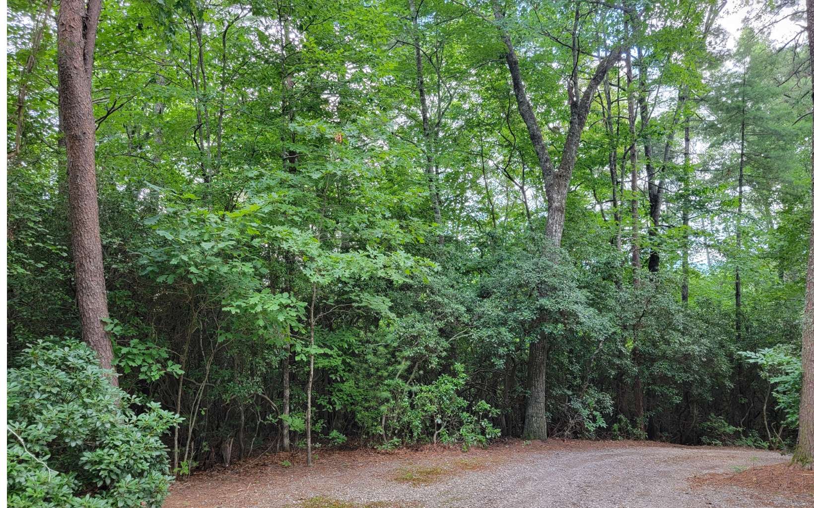 Desirable, private 2.18 acre lot in the established of Mountain Lakes Development. Wooded with mature stand of mostly hardwoods, Mountain laurel and rhododendron abound on this property that has one of more potential homesites. Seasonal views can likely be opened up to expose year-round mountain views. Nearby are Vogel State Park, Helton Creek Falls, Brasstown Bald and the Appalachian Trail. Bring your dreams of a secluded mountain getaway. Just 8 miles from Blairsville.